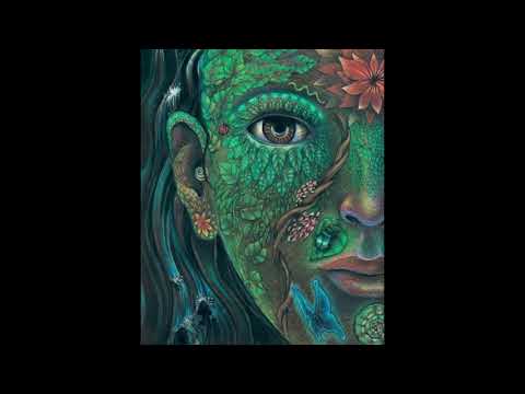 Ayahuasca Takimuyki   Rachael Sessions