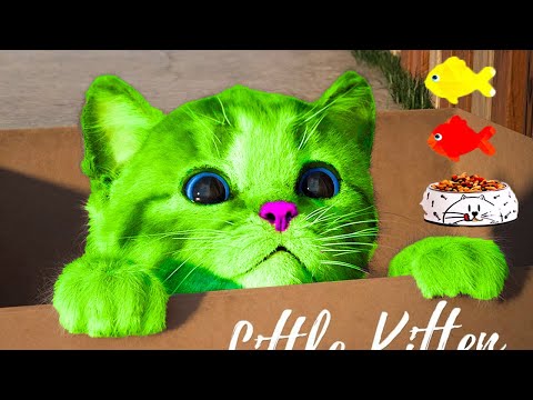 🐱 PLAYFUL LITTLE KITTEN SPECIAL ADVENTURE 🌈  Fun Little Kitten and His Long Journey! 🌟🐾