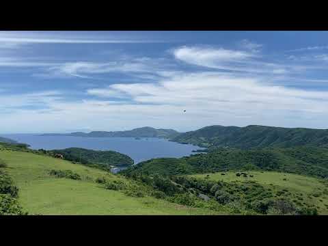 隠岐ユネスコ世界ジオパークの絶景・西ノ島の放牧風景