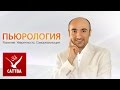 Ограничивающие убеждения - работа с убеждениями 