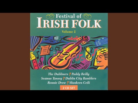 Dublin In The Rare Oul Times