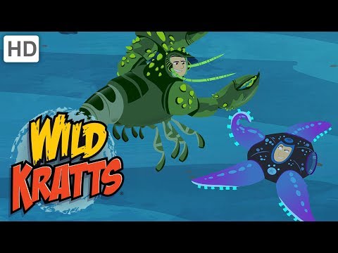 Wild Kratts - When Animals Defend Themselves: Survival of the Fittest