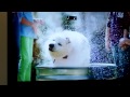 Chuck E Cheese S PBS Commerical 2014 A