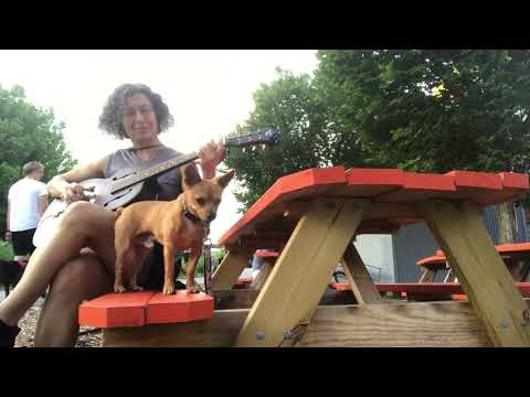 Miss Moonshine & Mr B the chihuahua celebrate 2d week owning resonator guitar on Beltline