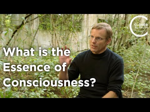 Giulio Tononi: The Neuroscientist Redefining Consciousness
