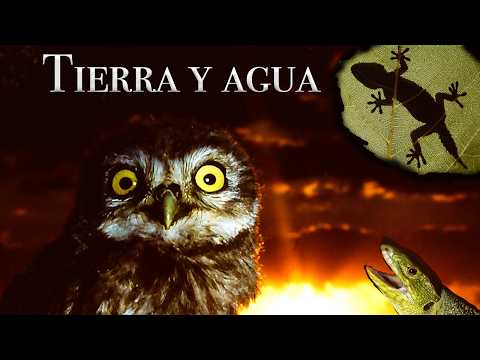 Trailer "Tierra y agua"