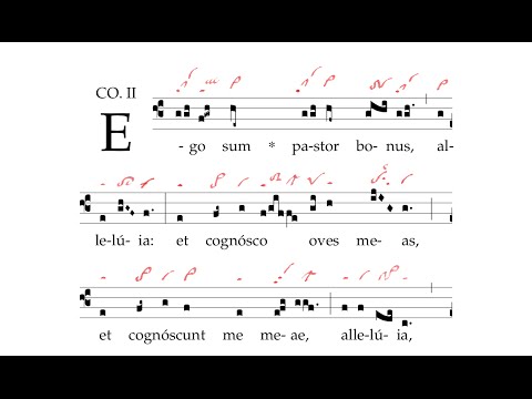 Communio: Ego sum pastor bonus