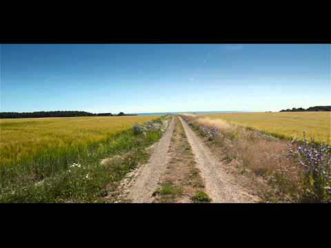 The Power of Österlen