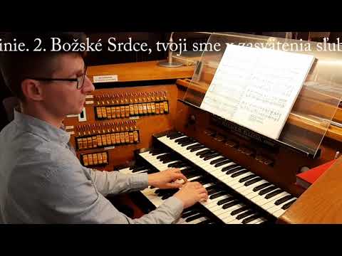 JKS 503 - Lásky svätej ohnisko (ein Herz Jesu Lied)