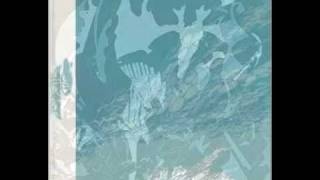 Boris with Merzbow- Sun Baked Snow Cave/Flood Mashup