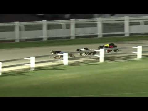 2023.06.23 10. FUTAM - KINCSEM PARK MAGYAR DERBY ELŐDÖNTŐ II. FUTAM