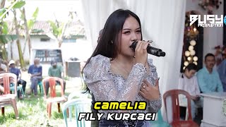 Download lagu Camelia - Fily Kurcaci Live padasuka sumedang mp3