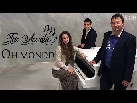 Trio Acoustic - Oh mondd