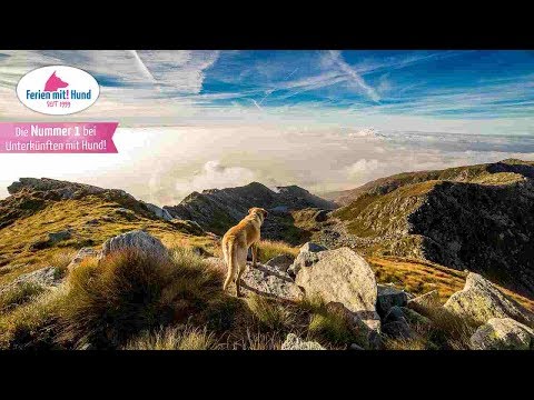 BAYERN MIT HUND - Ferienwohnungen und Ferienhäuser in den Bergen