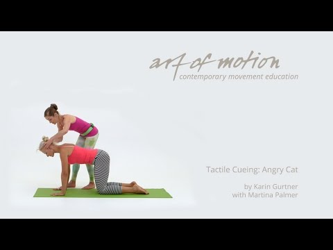 art of motion Talk: Tactile Cueing - Angry Cat