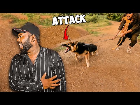 I CAN'T BELIEVE IT. My Dog Attacked🐺 Me..!
