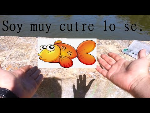 Pescando en Toledo. Una captura inesperada....