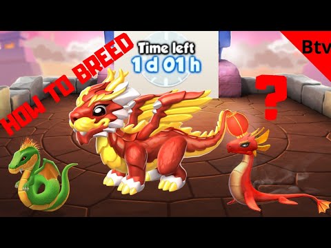 DML - How to breed the KONGMING dragon #35