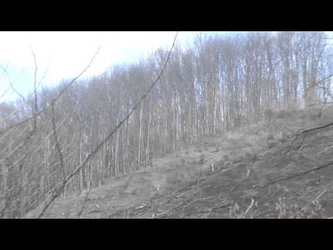 Judet Hunedoara, Comuna Zam in drum spre Cebia