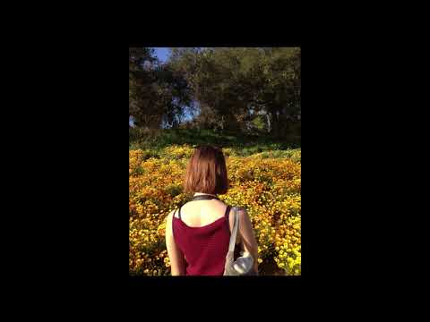 Video thumbnail for electronic drum solo dub mix (single take)