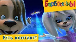 Барбоскины - 182 серия. Есть контакт 👽 Барбоскины 🚀 Новая серия