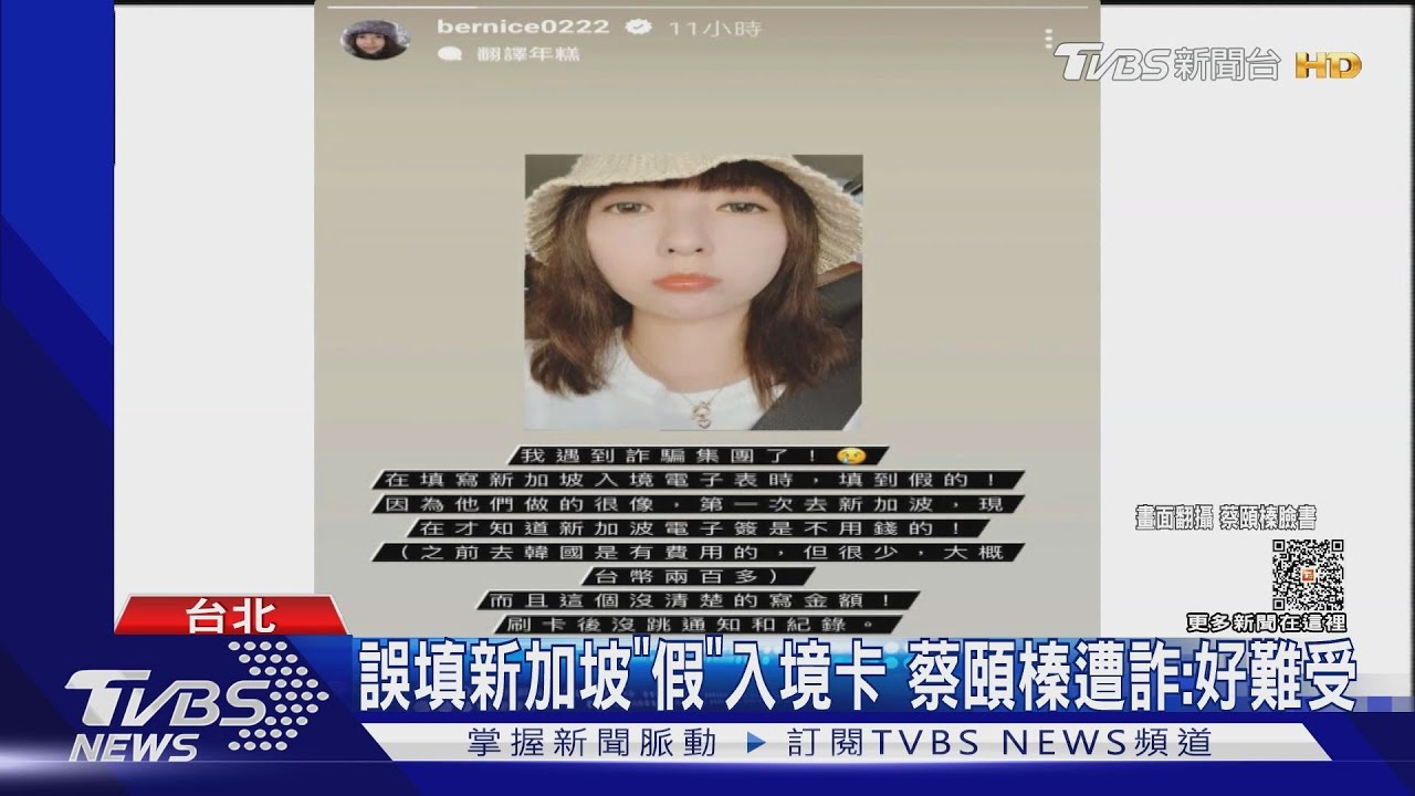 當心!女星蔡頤榛誤填「假的新加坡入境卡」遭騙2100元