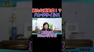 新たな感染症！？ハンタウイルス 自民党 高市政権【日本保守党】