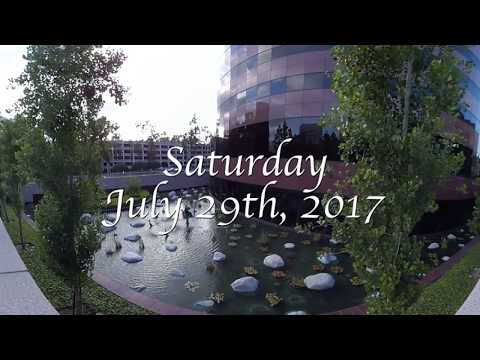 download lagu mp3 mp4 Christina Tosi Wedding, download lagu Christina Tosi Wedding gratis, unduh video klip Christina Tosi Wedding