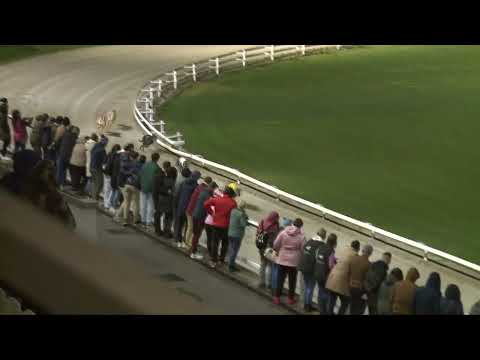 2022.04.22. 05. futam - Szezonnyitó Nagydíj