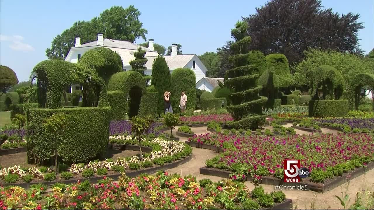 A Tank Away: Green Animals Topiary Garden