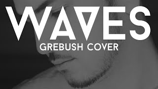 Mr Probz - WAVES (GREBUSH COVER)