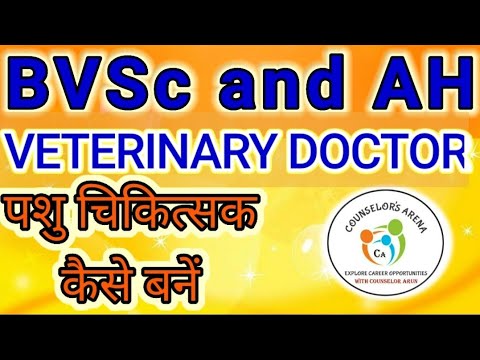 Dr. Sara May, Allergy and Immunology