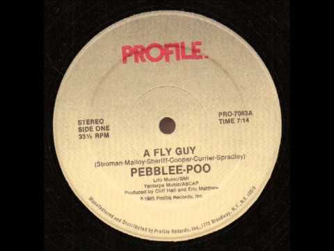 Video thumbnail for A Fly Guy