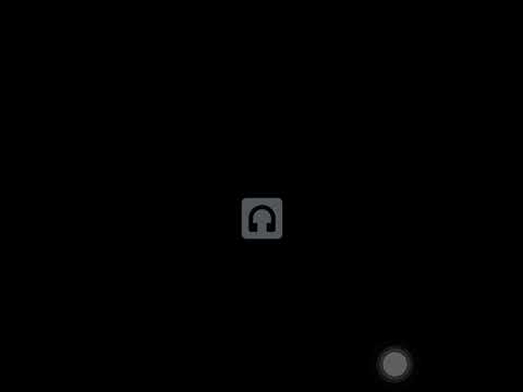 Audio hawks sport day 2024