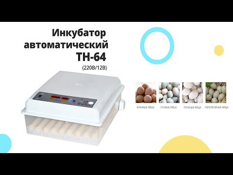 Инкубатор автоматический TH-64 (220В/12В) Tehnomur