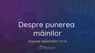 15 Iunie 2023 | Joi seara