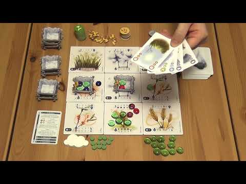 Petrichor társasjáték + Virágok kiegészítő - d3meeples