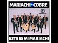 MARIACHI COBRE  - EL BURRO