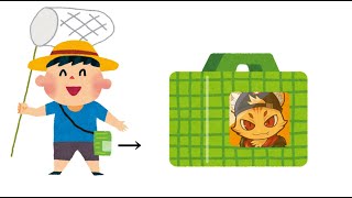 なにかやるらしい、茶トラは何も知らない。