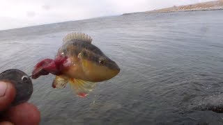 Рыбалка на лимане азовского моря