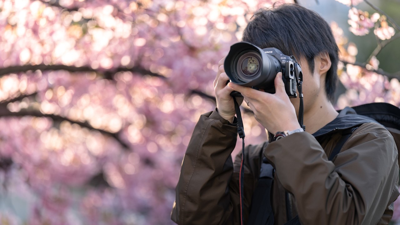 2026年最新！桜を美しく写す撮影テクニック！