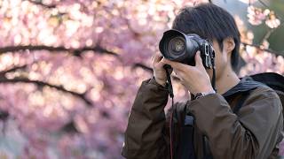 2026年最新！桜を美しく写す撮影テクニック！