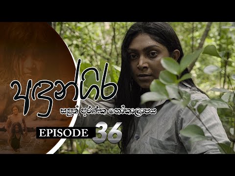Andungira | Episode 36 - (2022-01-22) | ITN
