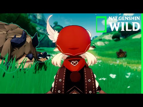 Bison soldier on Genshin