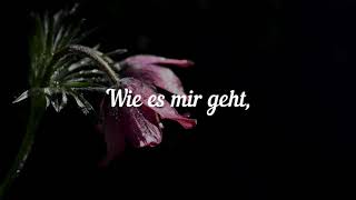 Die Toten Hosen - Nur zu Besuch (Lyrics)