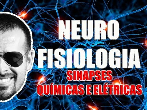 Chemical and Electrical Synapses - Nervous System - Neurophysiology - Video Lesson 083