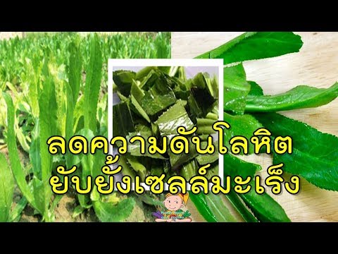 ยาเสพติดซื้อแรงใน Samara ยาเสพติดเพื่อความแข็งแรงลดลง