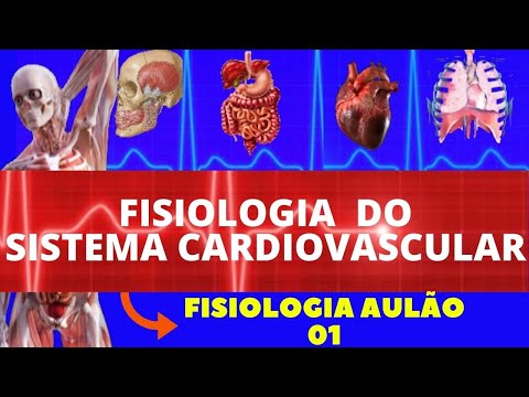 FISIOLOGIA CARDIOVASCULAR (AULÃO COMPLETO) FISIOLOGIA DE GUYTON - FISIOLOGIA HUMANA