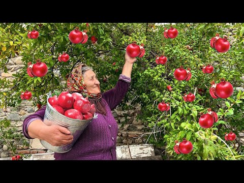 Mix of Pomegranate Jam, Traditional Desserts and Food Recipes!