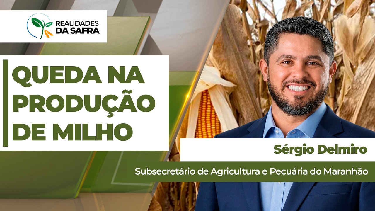 Após falta de chuvas em maio, Maranhão deve ter queda de produção no milho